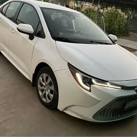 Toyota Corolla 2020