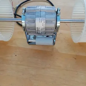 FANKOIL MOTOR