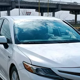 Toyota Camry 2020