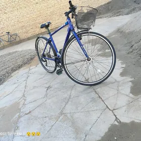 BRIDGESTONE skarasnoy
