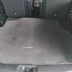 Camry aziada, gylych kovrik