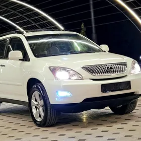 Lexus RX 330 2004
