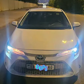 Toyota Corolla 2020