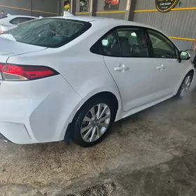 Toyota Corolla 2020