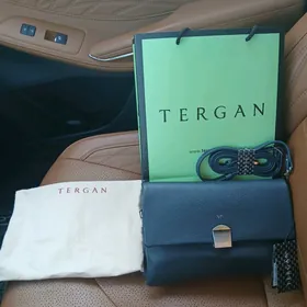 Tergan
