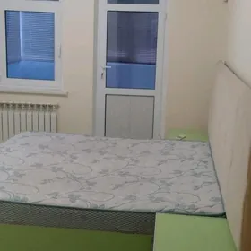  Arenda elitka 