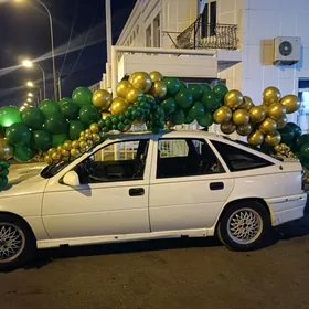 Opel Vectra 1991