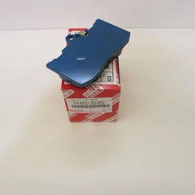 Kalodka GS