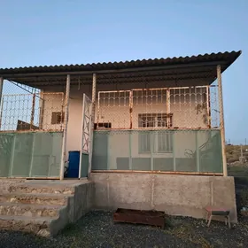 SATLYK DAÇA