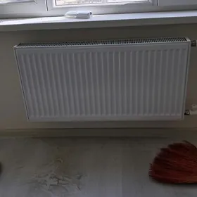Atapleniýe