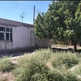 ÇARJEV AÝRAPORT DAÇA
