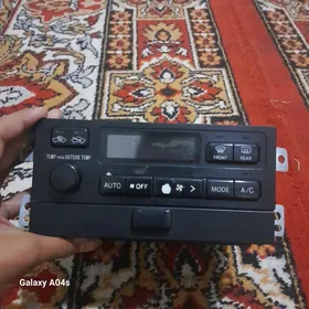 babyçga klimat