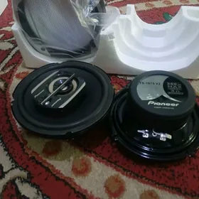 pioneer 300lik nikl