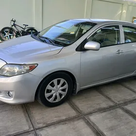 Toyota Corolla 2010