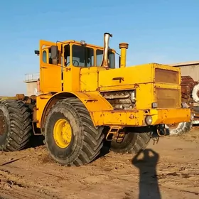 MTZ 80 2022