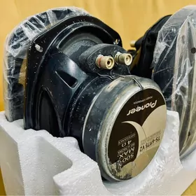 pioneer500