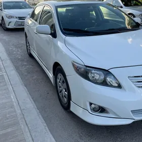Toyota Corolla 2010