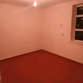 satlyk jayyy pircalda