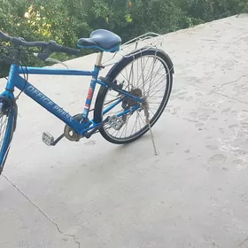 Sport tigir