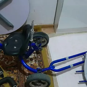 Çaga tigiri