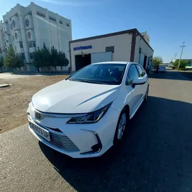 Toyota Corolla 2021