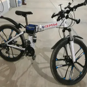 Bmw tigir