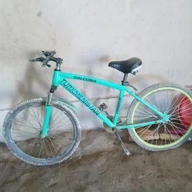 tigir turkmenistan