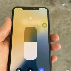 iphone xs max 2 sim