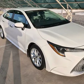Toyota Corolla 2020