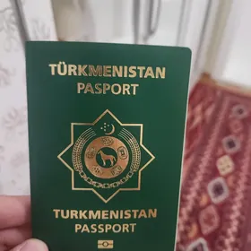Zagran pasport yitdi