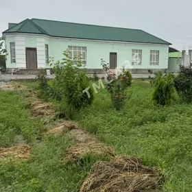 № 224 Bagyr plan jay Багир