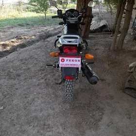 Fekon FK200-14G 2025