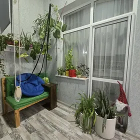 Arenda 30mkr 1etaz 3kom