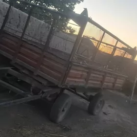 MTZ 80 2025