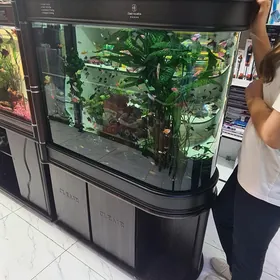taze akwaryum 300litr