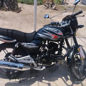 Fekon FK150-8G 2014