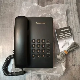 Panasonic