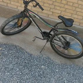 tigir duga  26 lik