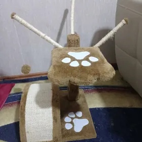 место для кота