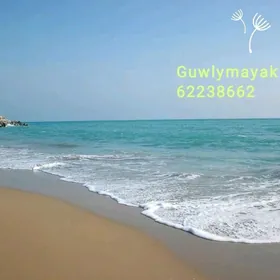 Guwlymayak daça