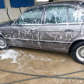 BMW 525 1991