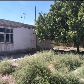 Turkmenabat satılık daça