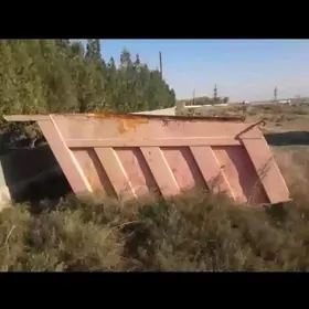 kuzwa