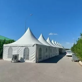 gummez palata