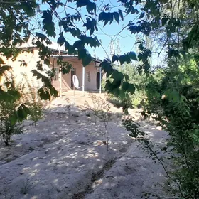 SATLYK JAÝ