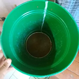 Suw saklayan bocka
