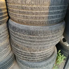 R19 pakriskalar