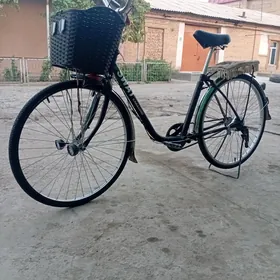 welik 26
