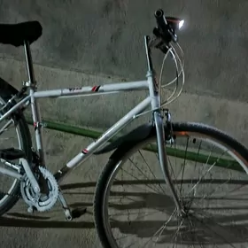 sport tigir