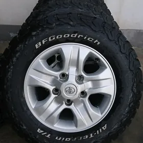 diska R17